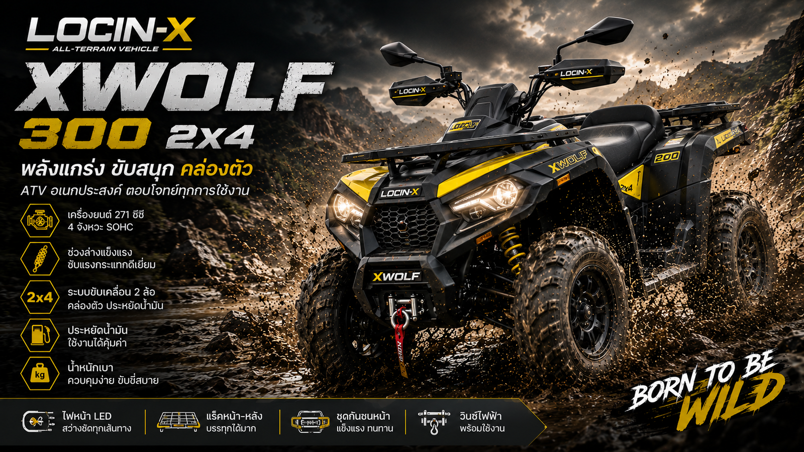 XWolf 300 2x4